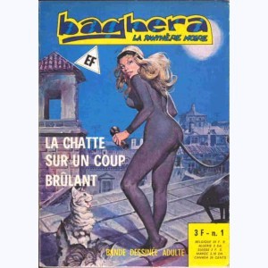 Série : Baghera La Panthère Noire