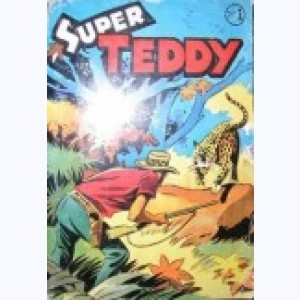 Série : Teddy (2ème Série Album)